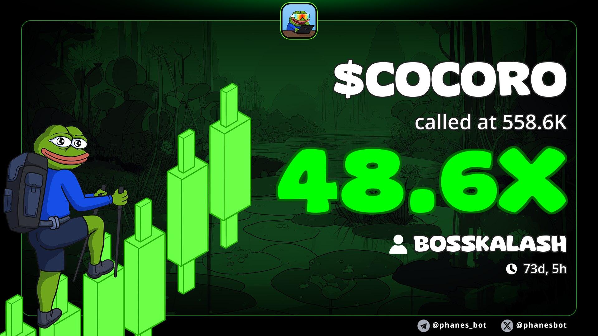 cocoro